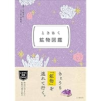 宝石宝飾大事典　1996年購入 宝石宝飾大事典 1996年購入 - メルカリ